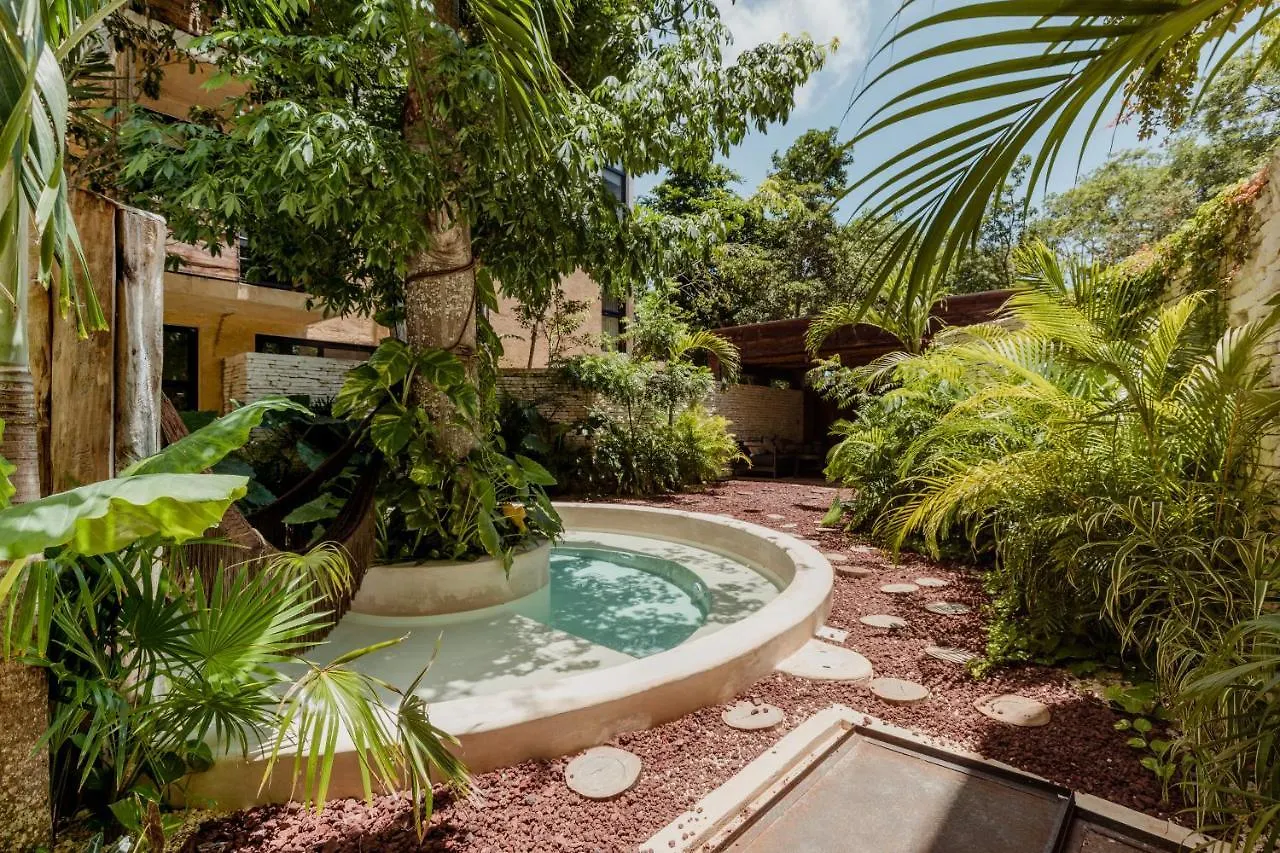 Luum Zama Luxury Villas By Luciernaga Maya Tulum Mexico