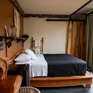 Bufo Alvarius Otel