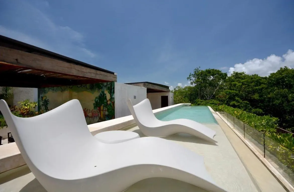 Luum Zama Luxury Villas By Luciernaga Maya Tulum